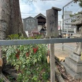 実際訪問したユーザーが直接撮影して投稿した宇治神社縣神社の写真