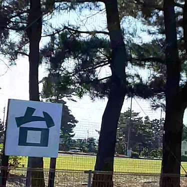 実際訪問したユーザーが直接撮影して投稿した浦富公園お台場公園の写真