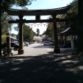 実際訪問したユーザーが直接撮影して投稿した一宮しなね神社土佐神社の写真