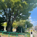 実際訪問したユーザーが直接撮影して投稿した吹上公園吹上公園の写真