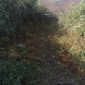 実際訪問したユーザーが直接撮影して投稿した岩尾別山 / 峠ニセコアンヌプリの写真