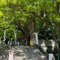 実際訪問したユーザーが直接撮影して投稿した大麻町板東神社大麻比古神社の写真