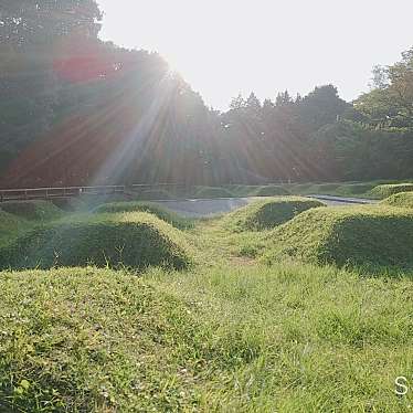 国営昭和記念公園のundefinedに実際訪問訪問したユーザーunknownさんが新しく投稿した新着口コミの写真