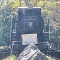 実際訪問したユーザーが直接撮影して投稿した上野台公園仙元山公園の写真