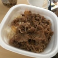 牛丼並弁当 - 実際訪問したユーザーが直接撮影して投稿した椚塚牛丼すき家 南陽警察署西店の写真のメニュー情報