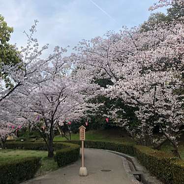 実際訪問したユーザーが直接撮影して投稿した一番丁公園亀山公園の写真