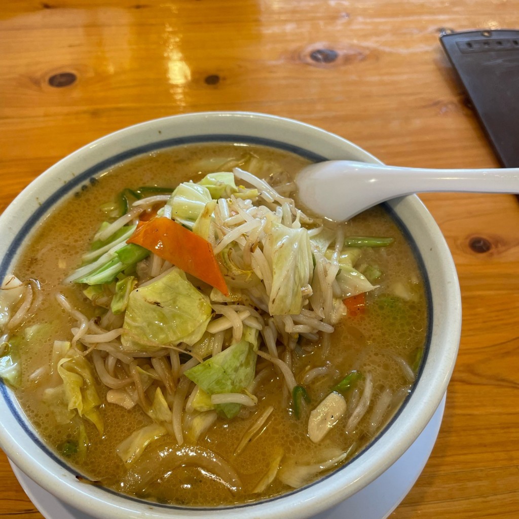 ユーザーが投稿した野菜ラーメン塩の写真 - 実際訪問したユーザーが直接撮影して投稿した今泉町ラーメン / つけ麺ラーメンねぎっこ 競輪場通り店の写真