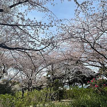 ももoOさんが投稿した山下町公園のお店山下公園/ヤマシタコウエンの写真