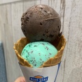 実際訪問したユーザーが直接撮影して投稿した宮平アイスクリームブルーシール イオン南風原店の写真