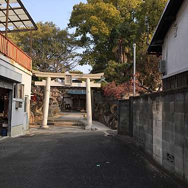 ぶどううり・くすこさんが投稿した今津上野町神社のお店上野神社/ウエノジンジャの写真