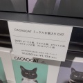 実際訪問したユーザーが直接撮影して投稿した潮見が丘チョコレートCACAOCAT 潮見が丘店の写真