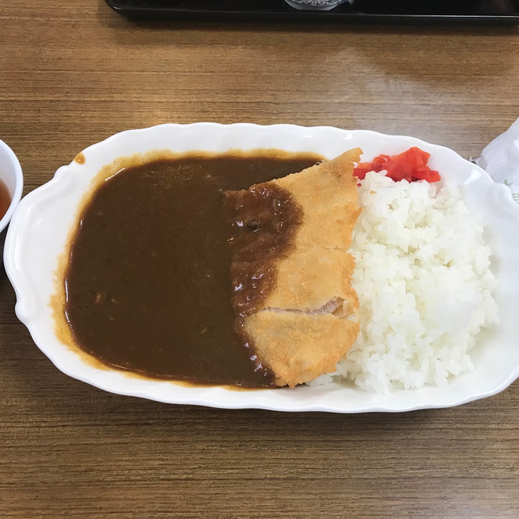 ユーザーが投稿したカツカレーの写真 - 実際訪問したユーザーが直接撮影して投稿した高野山和食 / 日本料理レストラン 楊柳の写真