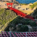 実際訪問したユーザーが直接撮影して投稿した油谷津黄神社元乃隅神社の写真