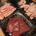 実際訪問したユーザーが直接撮影して投稿した内日角肉料理焼肉のと一の写真