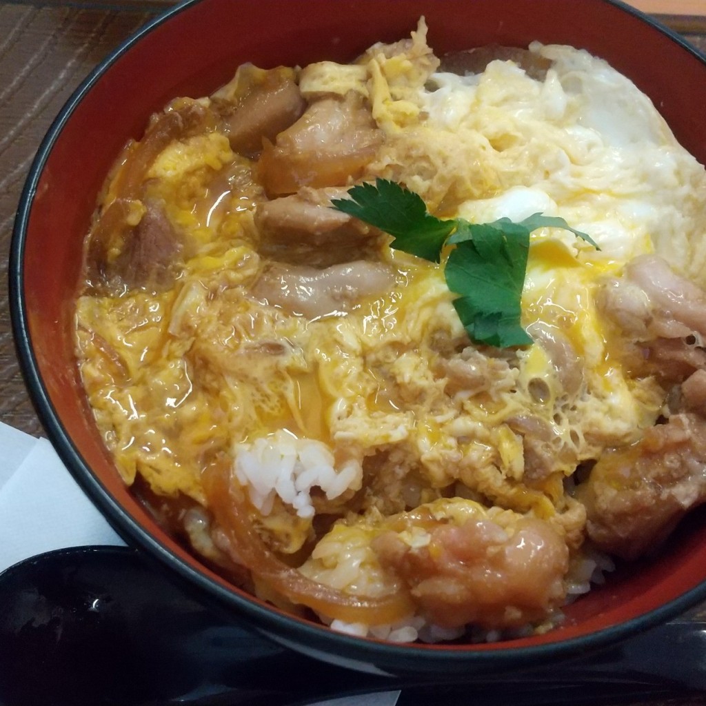 ユーザーが投稿した親子丼の写真 - 実際訪問したユーザーが直接撮影して投稿した新庄町からあげから好し 富山新庄店の写真