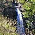 実際訪問したユーザーが直接撮影して投稿した秋保町馬場滝 / 渓谷秋保大滝の写真