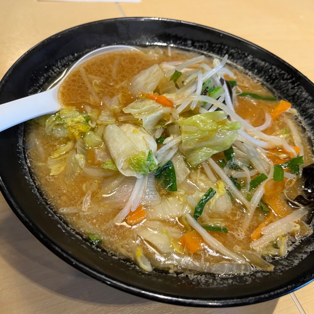 ユーザーが投稿した濃厚味噌野菜ラーメンの写真 - 実際訪問したユーザーが直接撮影して投稿した岡津町ラーメン専門店伝丸 岡津店の写真