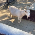 実際訪問したユーザーが直接撮影して投稿した南公園動物園福岡市動植物園の写真