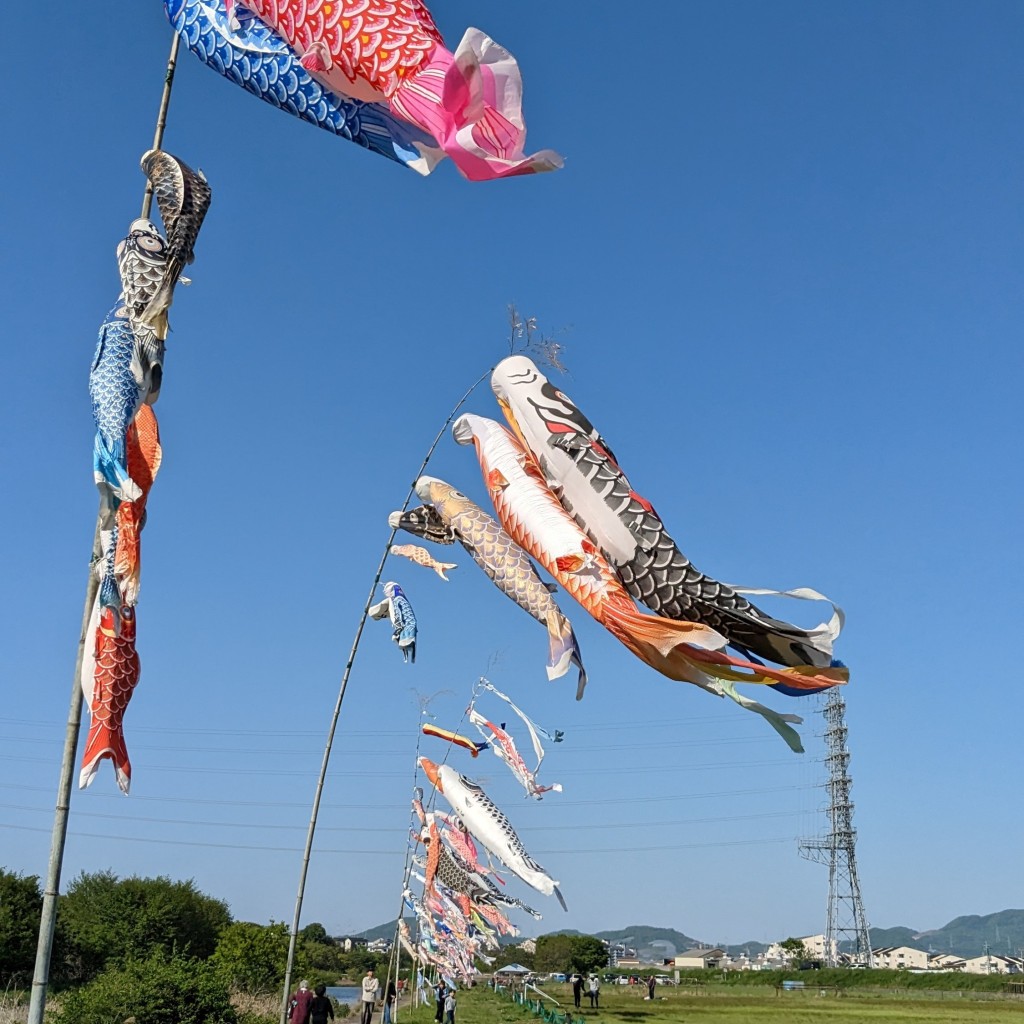 実際訪問したユーザーが直接撮影して投稿した西板持町スポーツ施設富田林市立石川河川敷川西グラウンドの写真