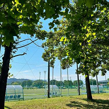 実際訪問したユーザーが直接撮影して投稿した古川町公園芝生広場の写真