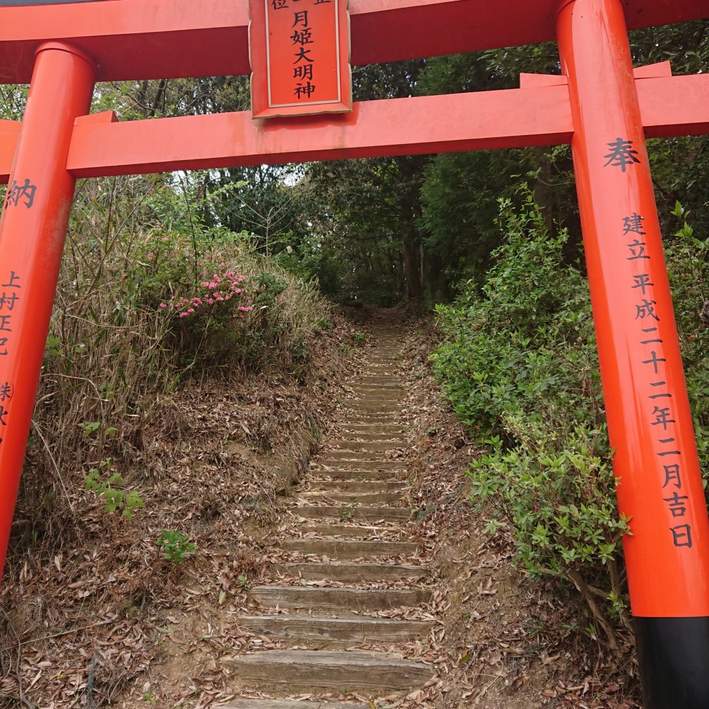 実際訪問したユーザーが直接撮影して投稿した豊福神社月姫大明神の写真