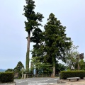 実際訪問したユーザーが直接撮影して投稿した高野山寺高野山の写真