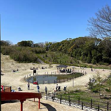 実際訪問したユーザーが直接撮影して投稿した三好町湖沼 / 池そらまめ池の写真