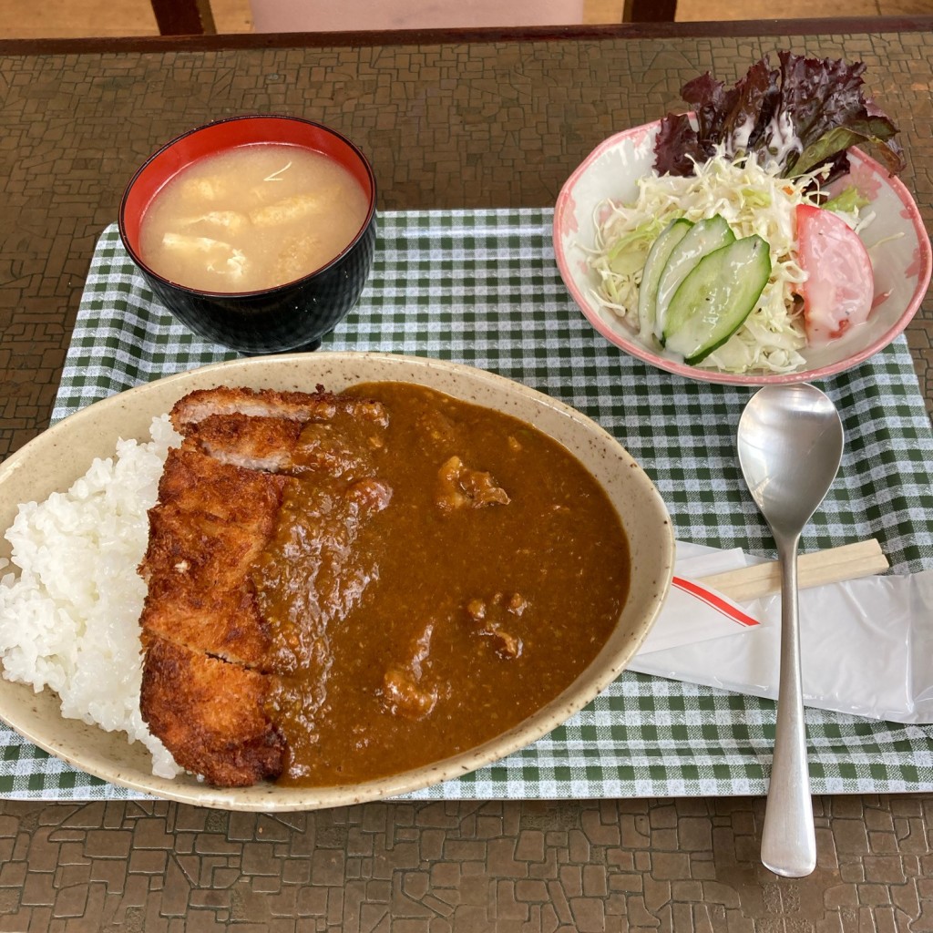 ユーザーが投稿したとんかつ牛すじカレーの写真 - 実際訪問したユーザーが直接撮影して投稿した大山東町日本酒バー･日本酒専門店地酒屋 蔵の写真