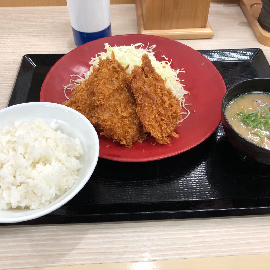 ユーザーが投稿したヒレカツ定食の写真 - 実際訪問したユーザーが直接撮影して投稿した上香貫とんかつかつや 沼津香貫店の写真