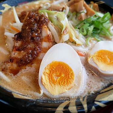 実際訪問したユーザーが直接撮影して投稿した本町西ラーメン / つけ麺ハルピン味噌らーめん 雷蔵の写真