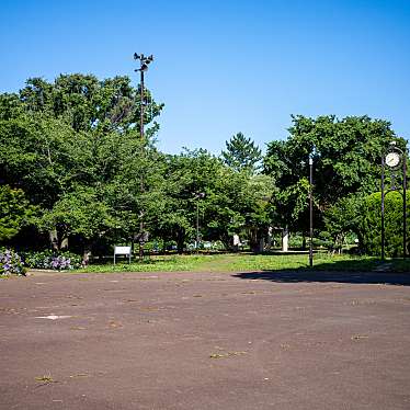 実際訪問したユーザーが直接撮影して投稿した南加瀬公園夢見ケ崎公園の写真