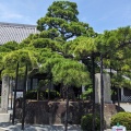 実際訪問したユーザーが直接撮影して投稿した加里屋寺花岳寺の写真