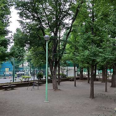 実際訪問したユーザーが直接撮影して投稿した小石川公園竹早公園の写真