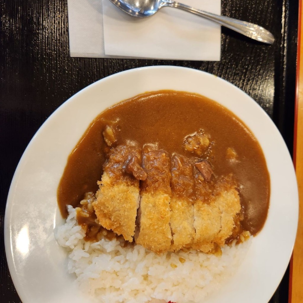 ユーザーが投稿したカツカレーの写真 - 実際訪問したユーザーが直接撮影して投稿した金光町大谷定食屋つちや食堂の写真