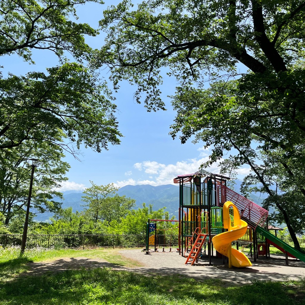 ゆーーーーーーさんが投稿した中央公園のお店伊那公園/イナコウエンの写真