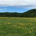 実際訪問したユーザーが直接撮影して投稿した湖沼 / 池雄国沼の写真