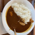 カレー - 実際訪問したユーザーが直接撮影して投稿した高須町牛丼すき家 堺高須店の写真のメニュー情報