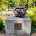 実際訪問したユーザーが直接撮影して投稿した堀工町寺茂林寺の写真