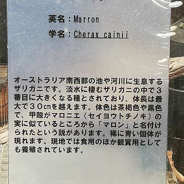 赤福 鳥羽水族館のundefinedに実際訪問訪問したユーザーunknownさんが新しく投稿した新着口コミの写真