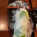 実際訪問したユーザーが直接撮影して投稿した新生魚介 / 海鮮料理若新の写真