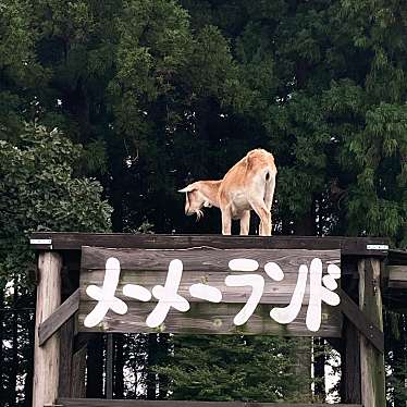 千本松牧場のundefinedに実際訪問訪問したユーザーunknownさんが新しく投稿した新着口コミの写真