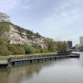 実際訪問したユーザーが直接撮影して投稿した千秋公園公園千秋公園の写真