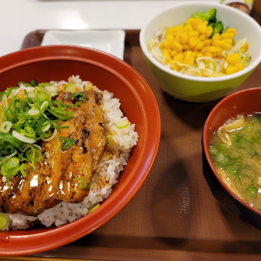 ユーザーが投稿した豚かば焼き丼並の写真 - 実際訪問したユーザーが直接撮影して投稿した春日町牛丼すき家 11号高松春日店の写真