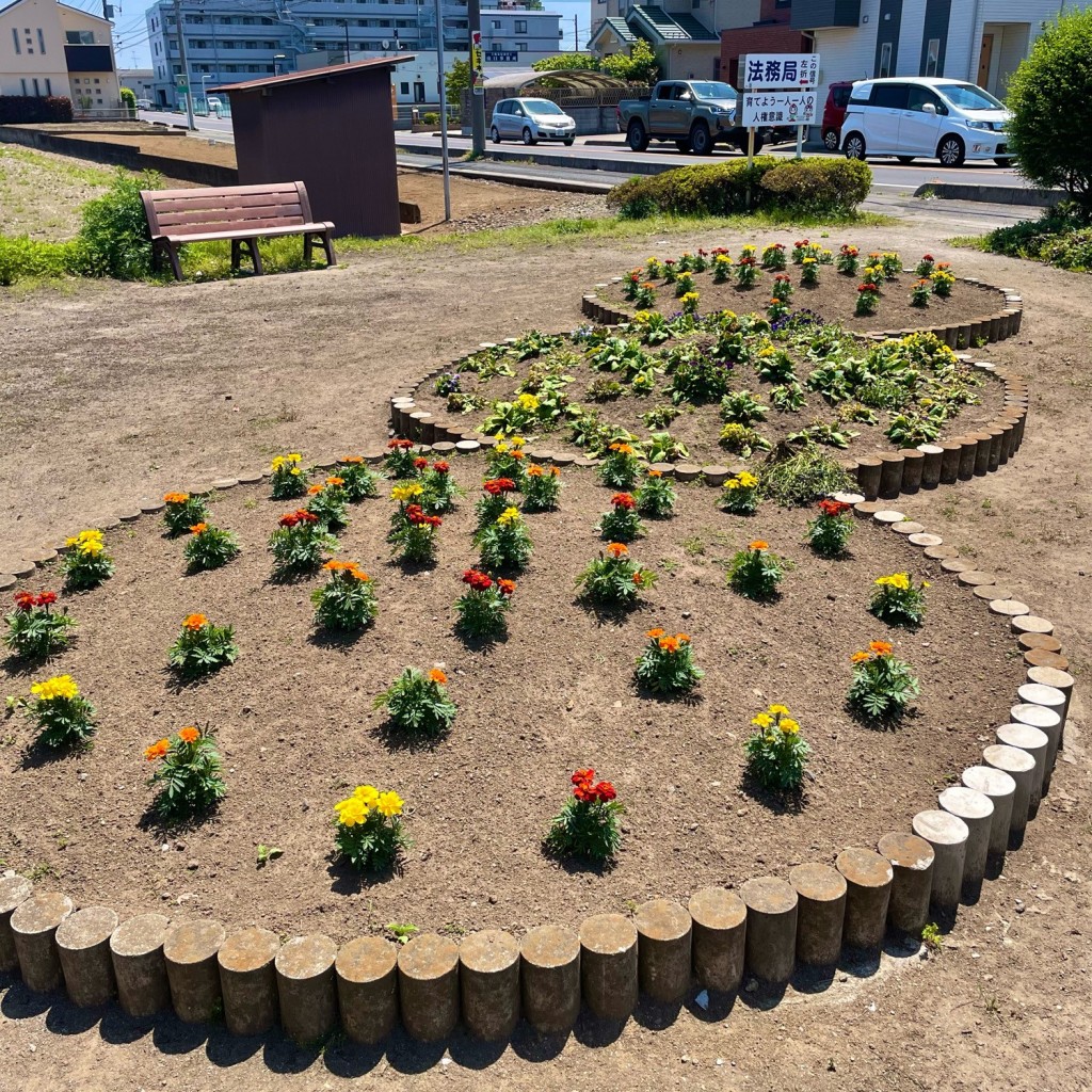 実際訪問したユーザーが直接撮影して投稿した中央公園けやき通りポケットパークの写真