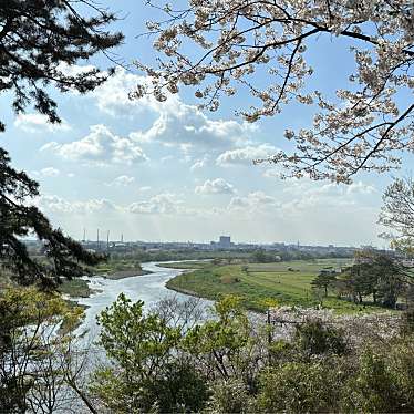 多摩川台公園のundefinedに実際訪問訪問したユーザーunknownさんが新しく投稿した新着口コミの写真