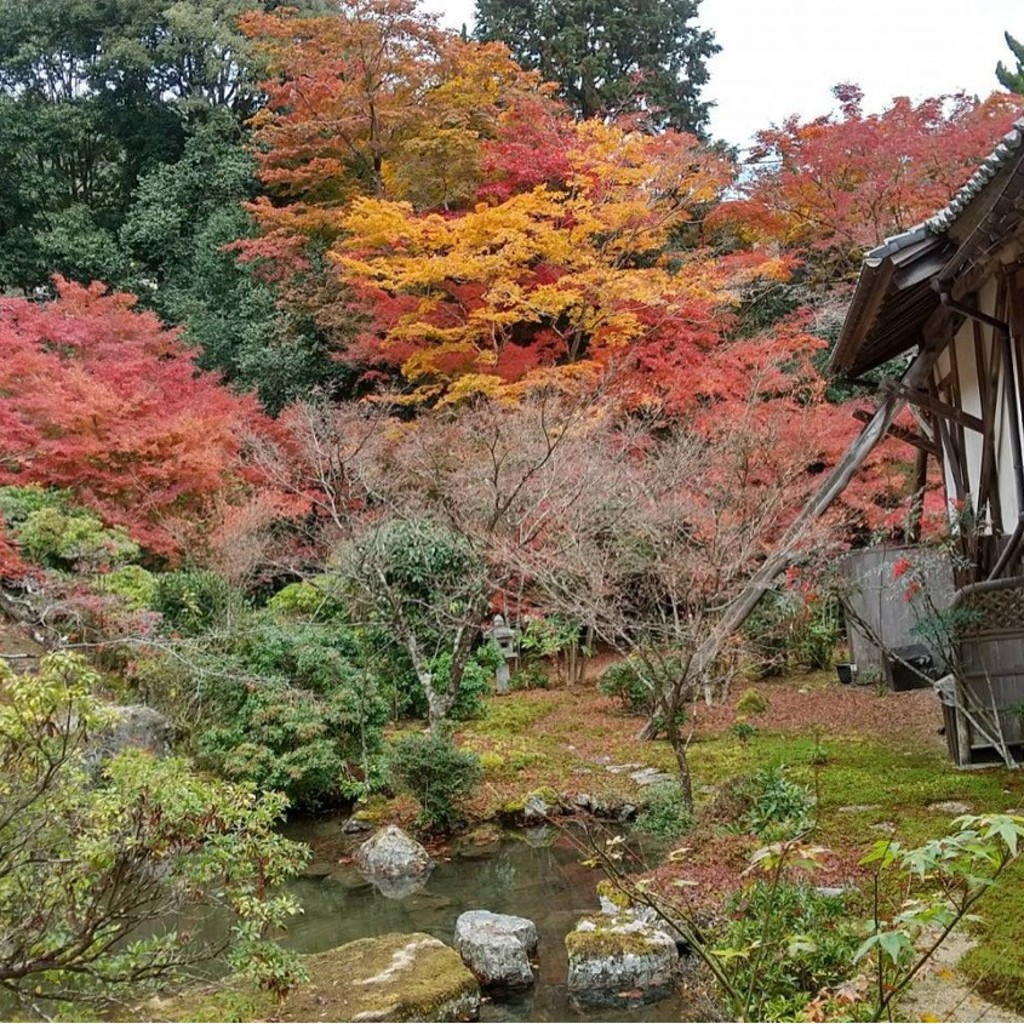 実際訪問したユーザーが直接撮影して投稿した岩倉上蔵町庭園池泉回遊式庭園の写真