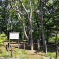 実際訪問したユーザーが直接撮影して投稿した南田中公園南田中憩いの森の写真