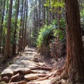 実際訪問したユーザーが直接撮影して投稿した木本町山 / 峠松本峠の写真