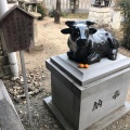 実際訪問したユーザーが直接撮影して投稿した北野神社北野天満宮の写真