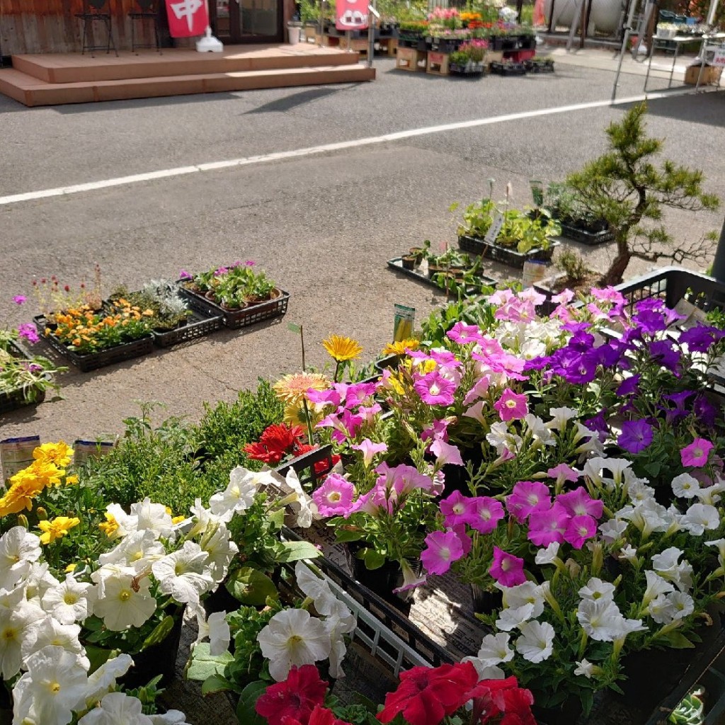 Calmando_休日ドライブさんが投稿した岩法寺道の駅のお店道の駅 たまかわ/ミチノエキ タマカワの写真